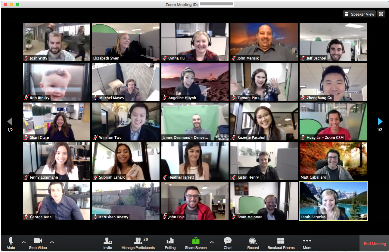 zoom meeting screenshot