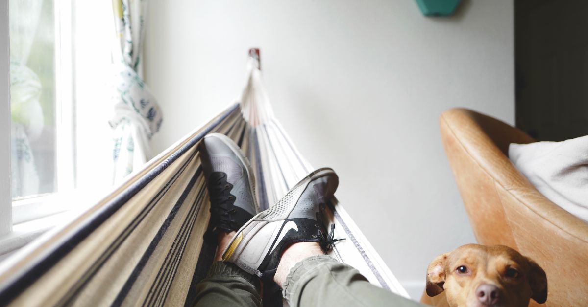 A guy resting in hammock