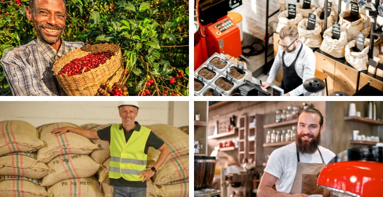 coffee production