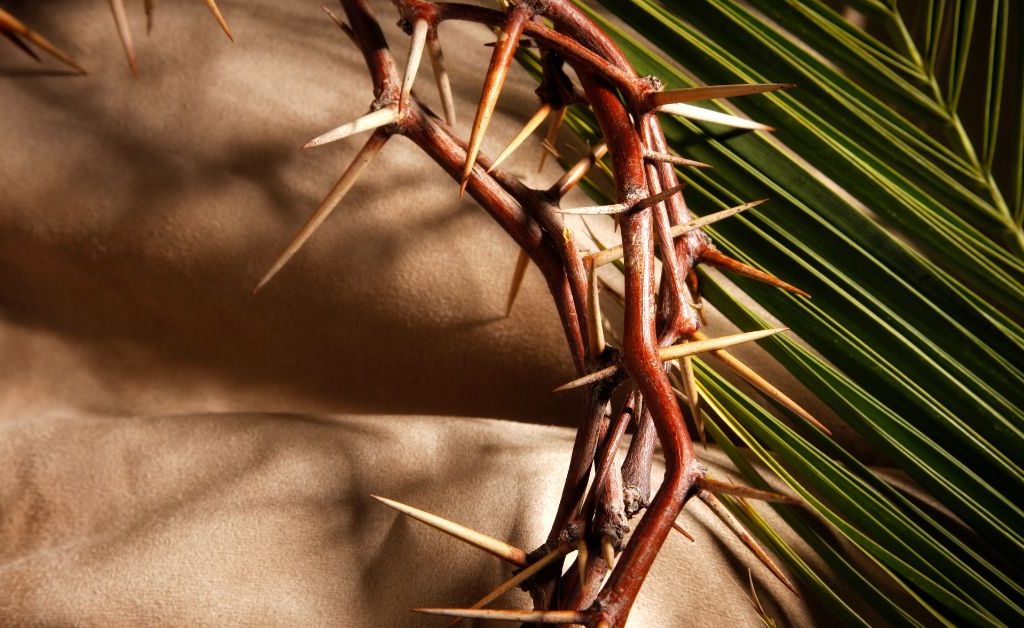 Crown of thorns and palm branch